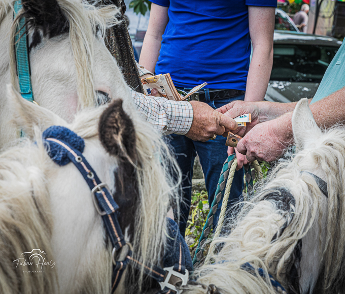 Borris Horse Fair 2023 (by Finbarr)
